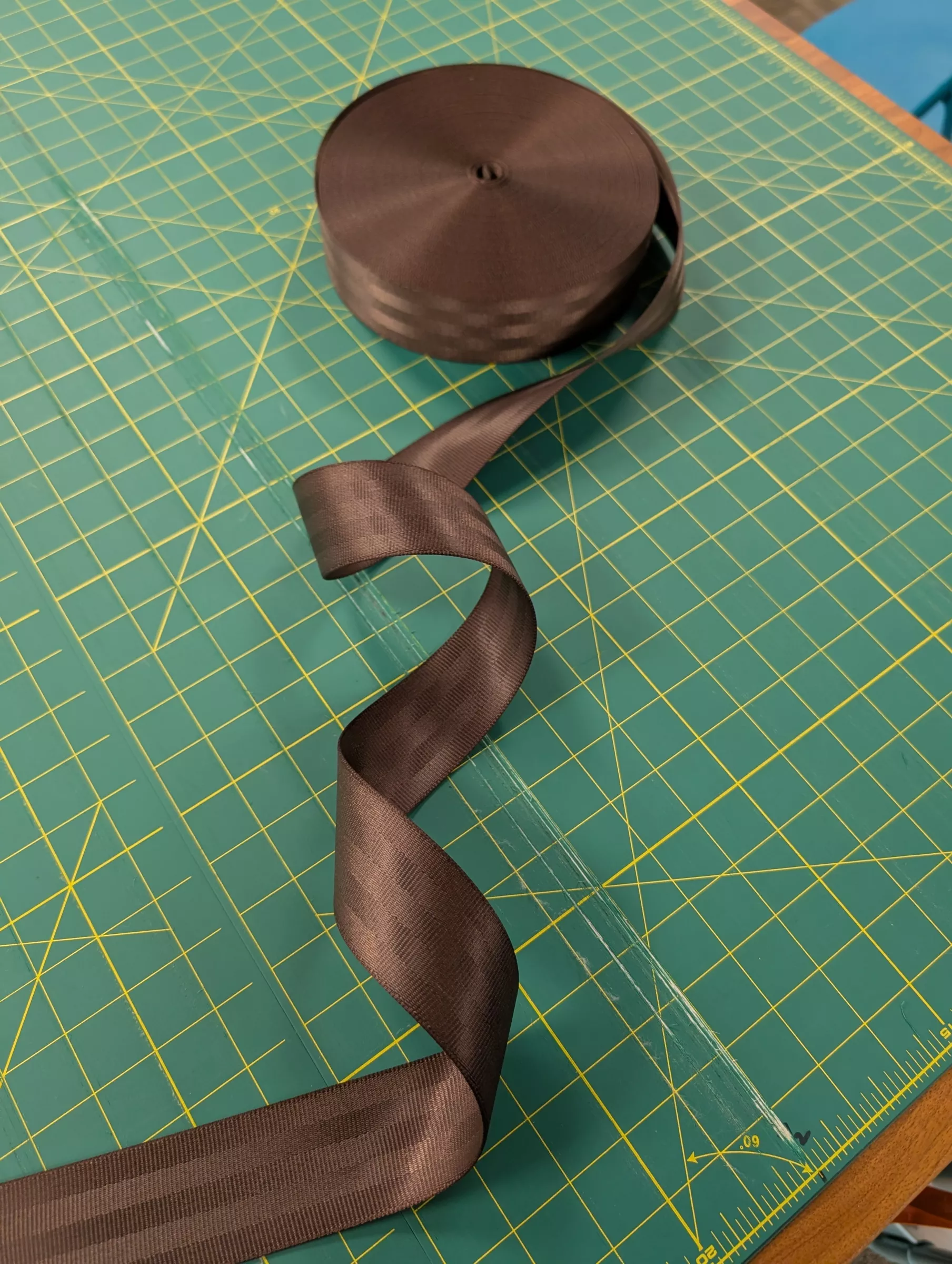 2" - Seatbelt Webbing - Brunette