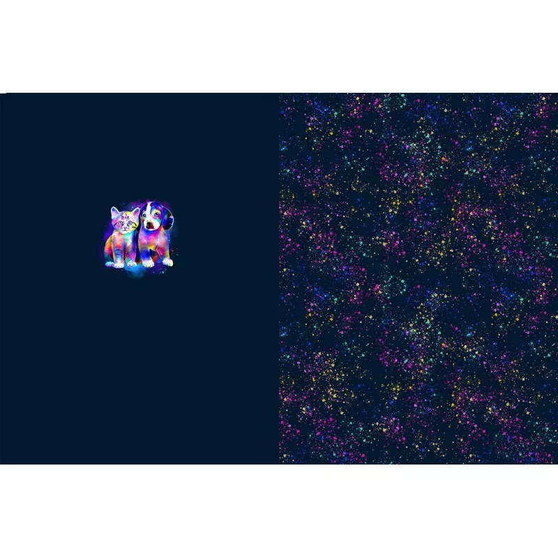 96289/008
