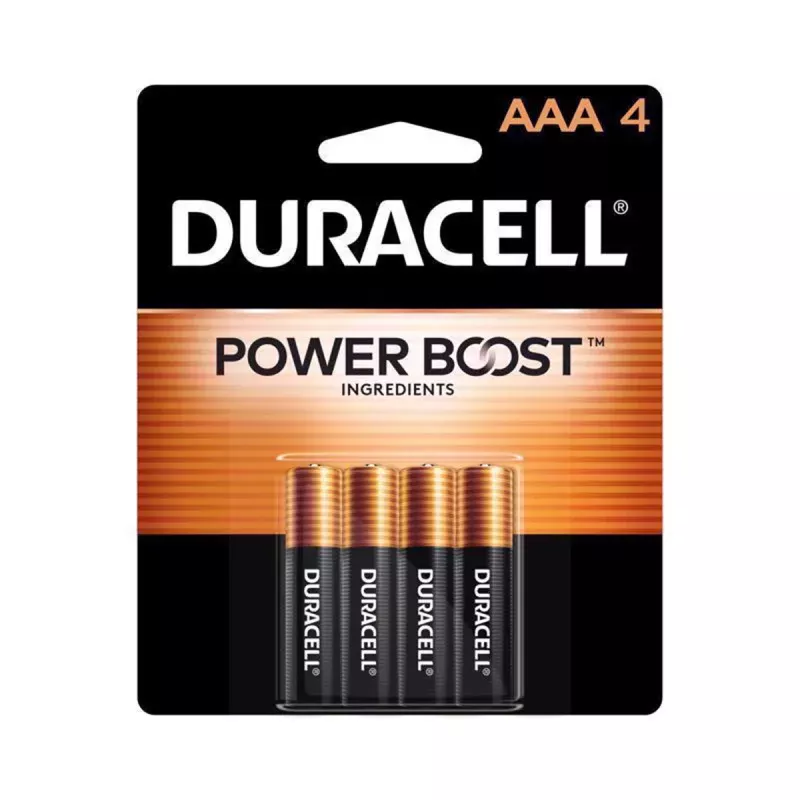 AAA Alkaline Batteries MN2400B