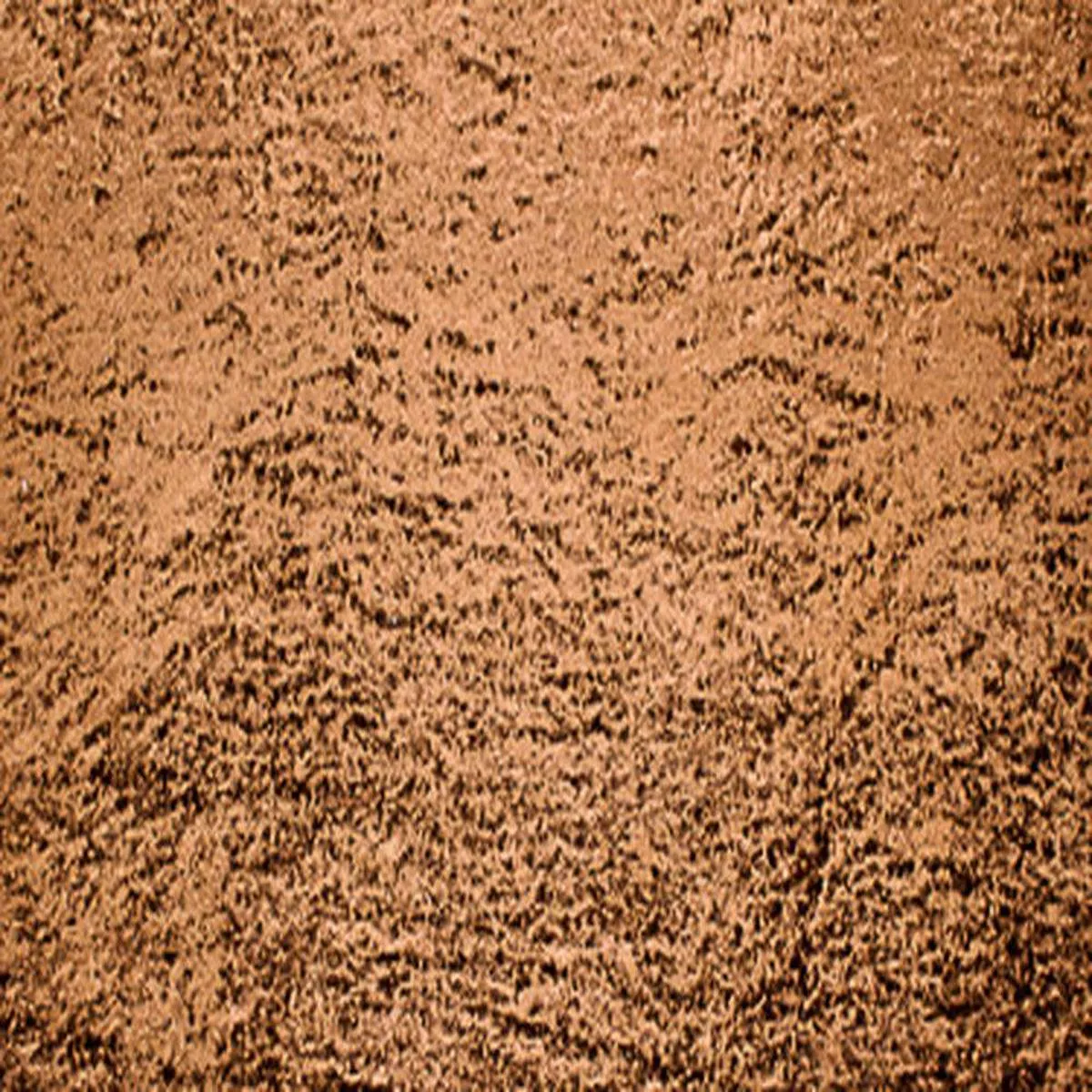 AMARON-NUTMEG
