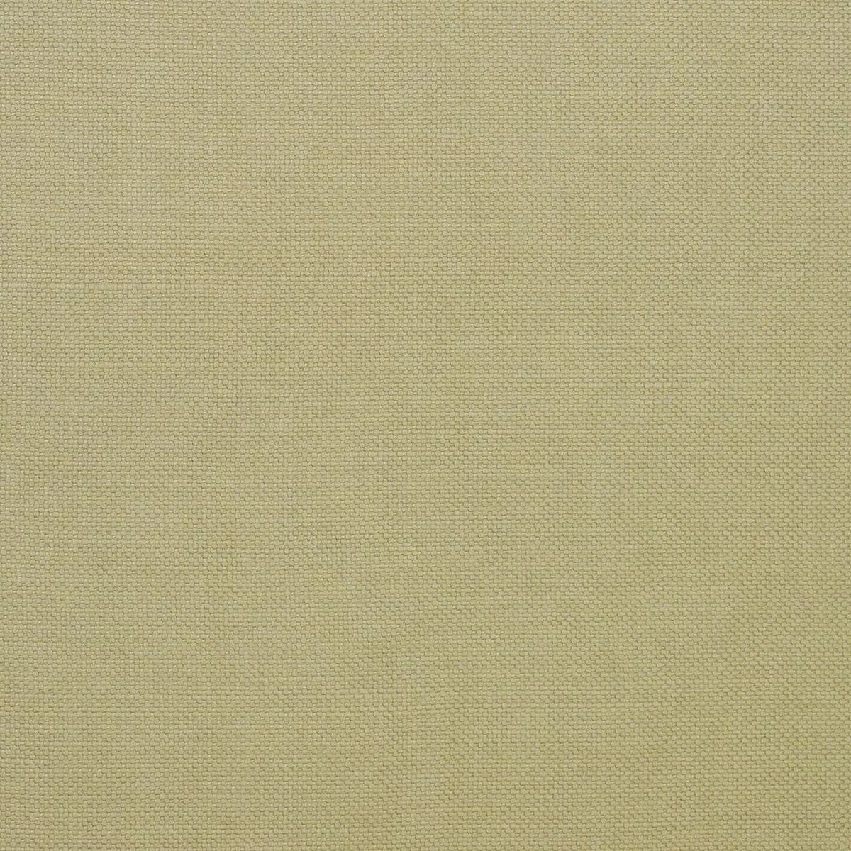 Baker Sand Golding Fabric