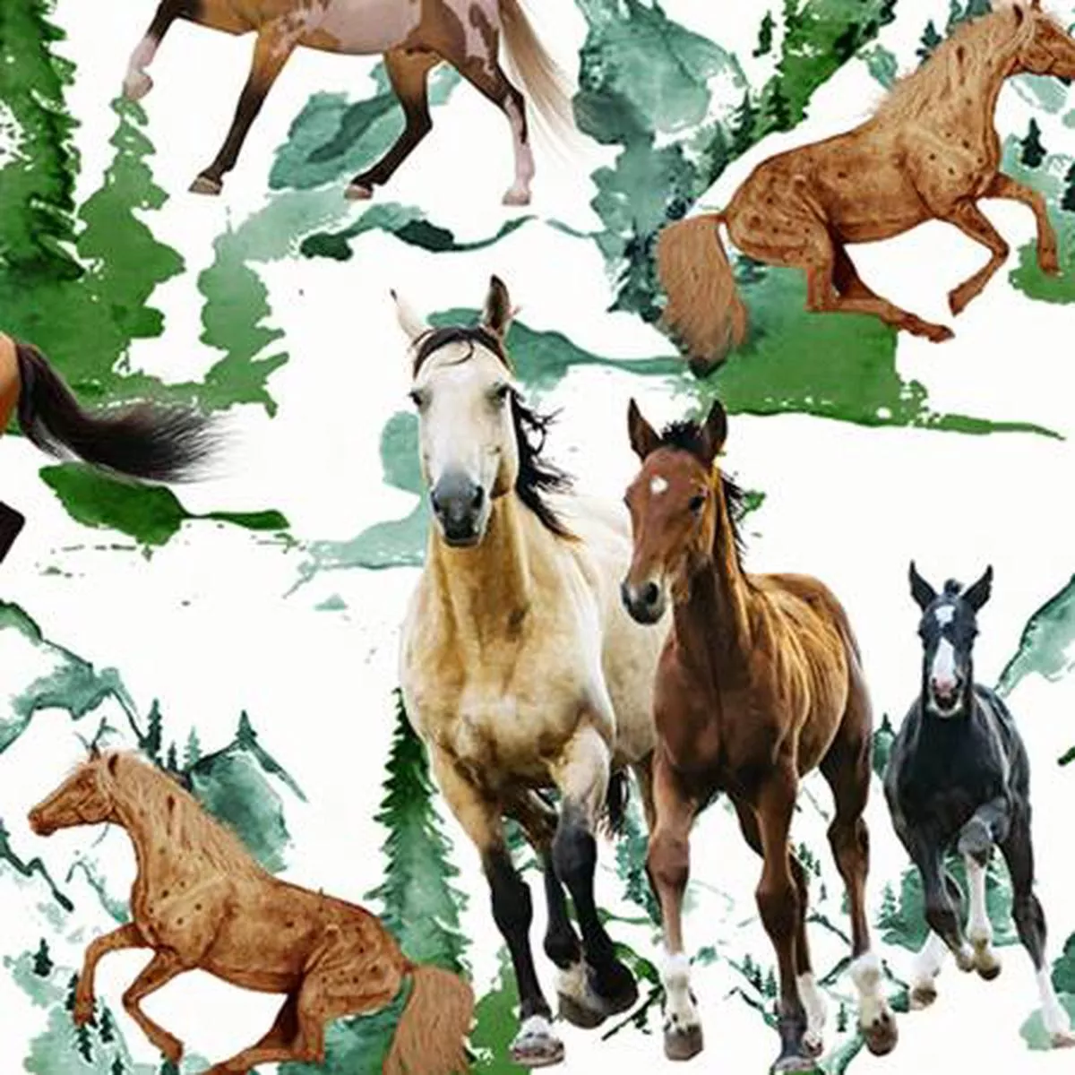 Basil Wild Horse Digital – Shannon Fabrics Cuddle Minky