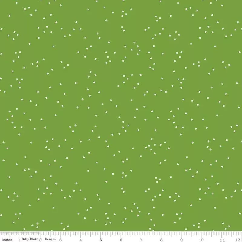 Blossom Holly