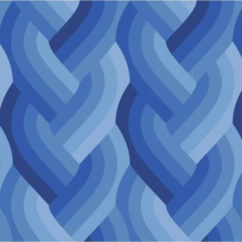 Braid Ombre in Royal Blue | Echo