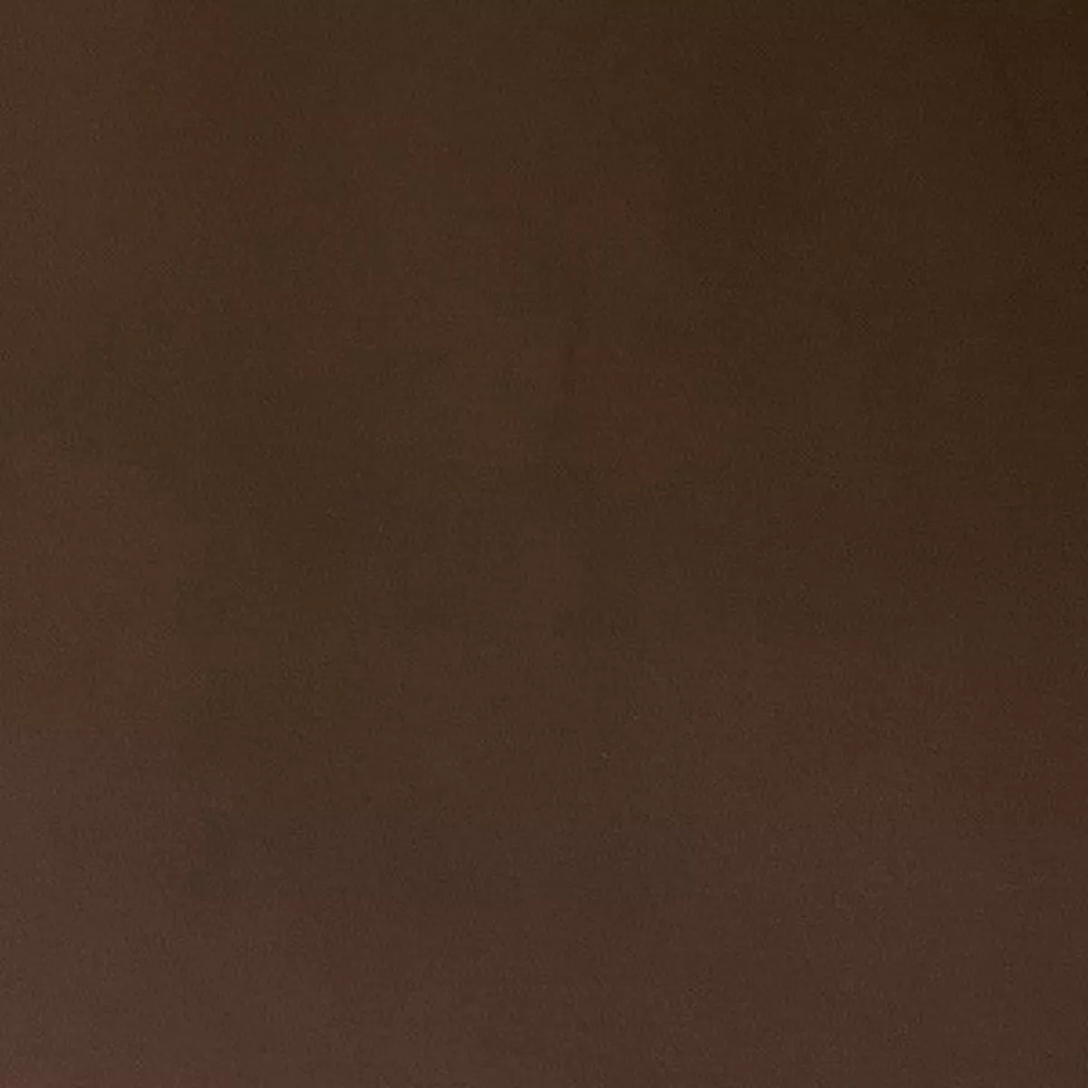 Burch Fabric Concierge Buck Upholstery Fabric