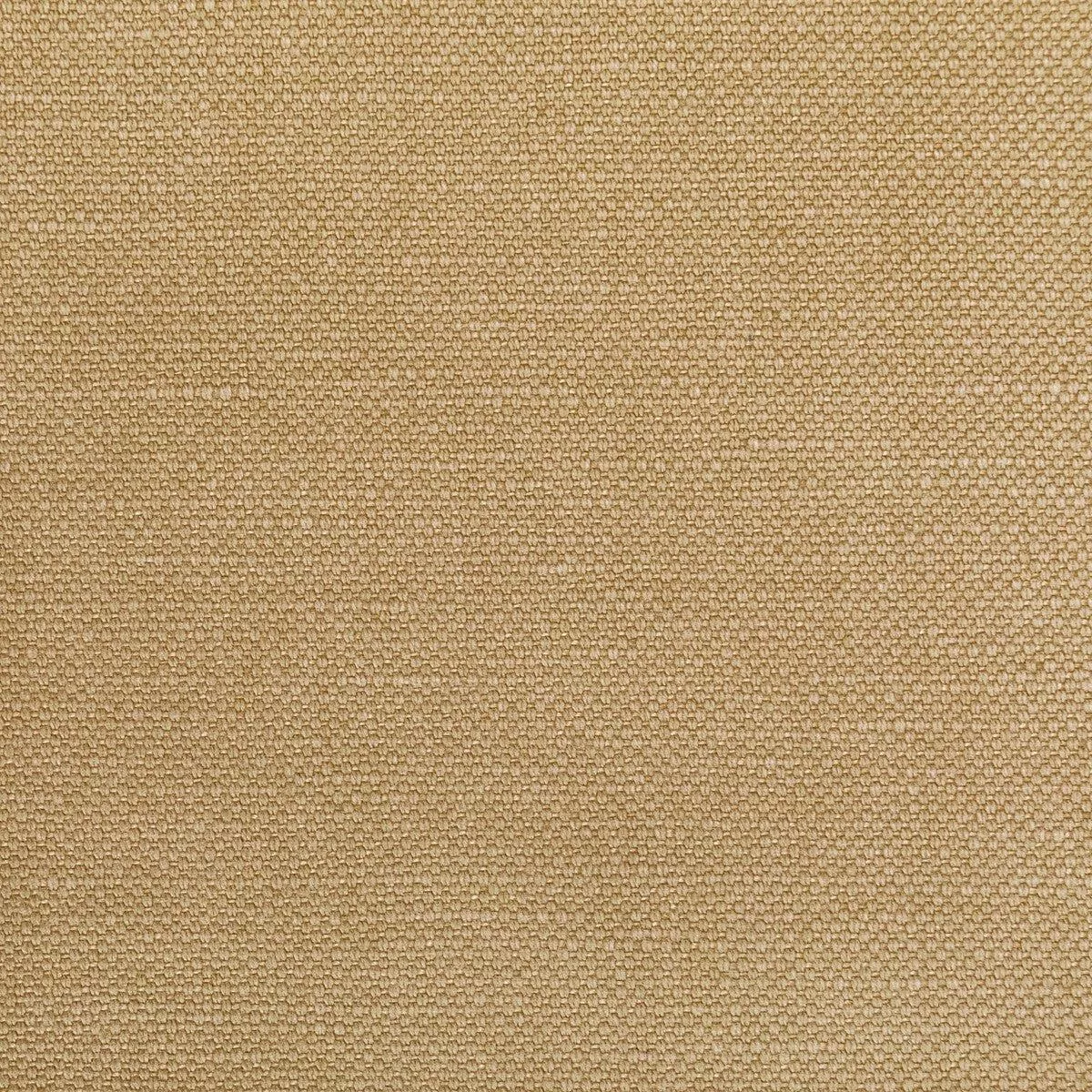 Carson Almond Fabric