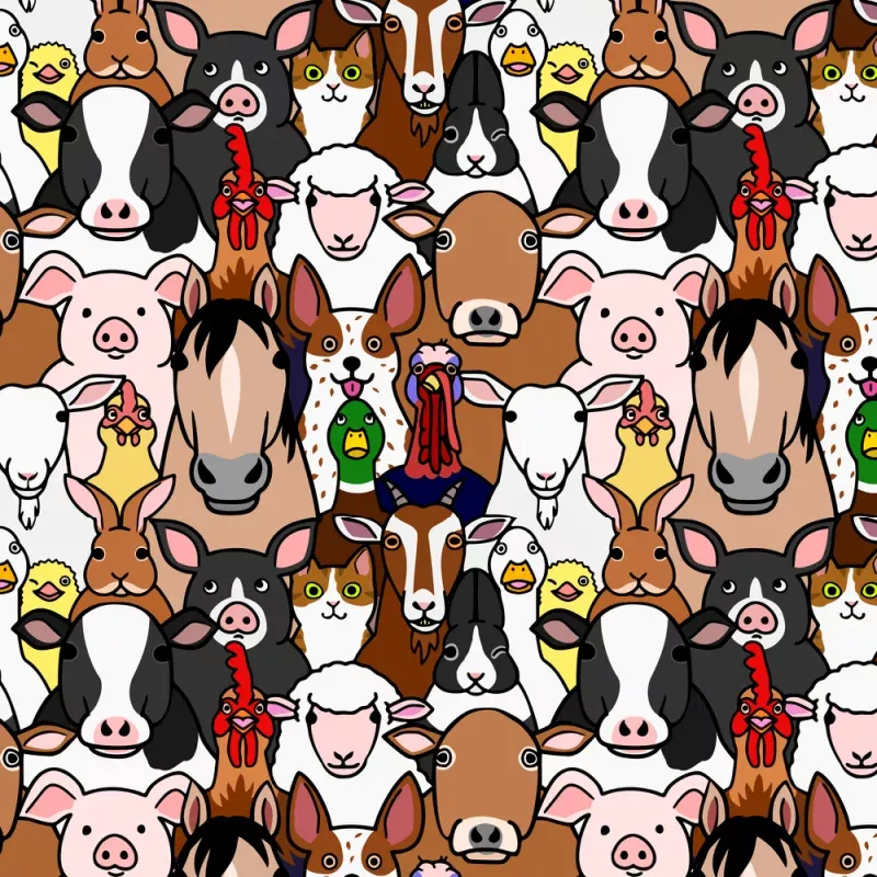 Cartoon Farm Animal Faces Fabric – Multi