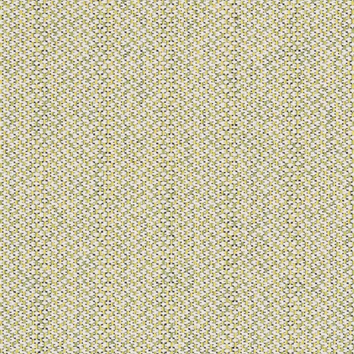 Charlotte – D2532 – Spring – Fabric by the Yard – Spring