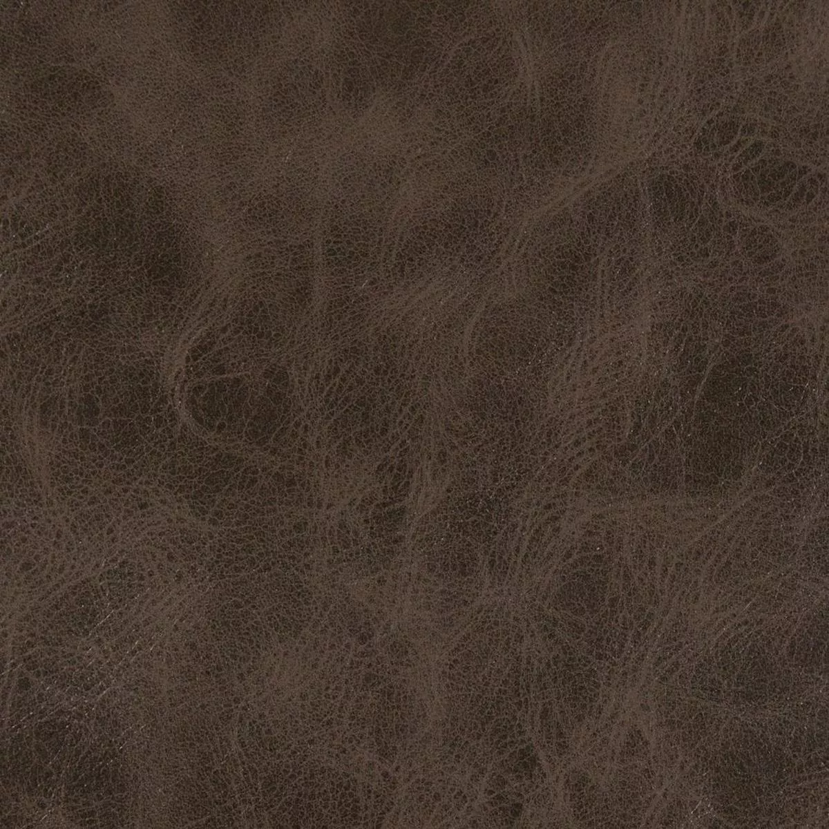 Charlotte – V201 – Java – Fabric by the Yard – Java