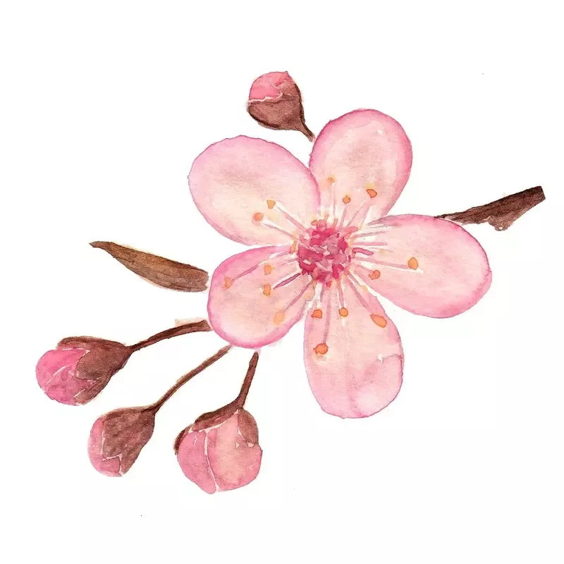 Cherry Blossom Fabric Panel