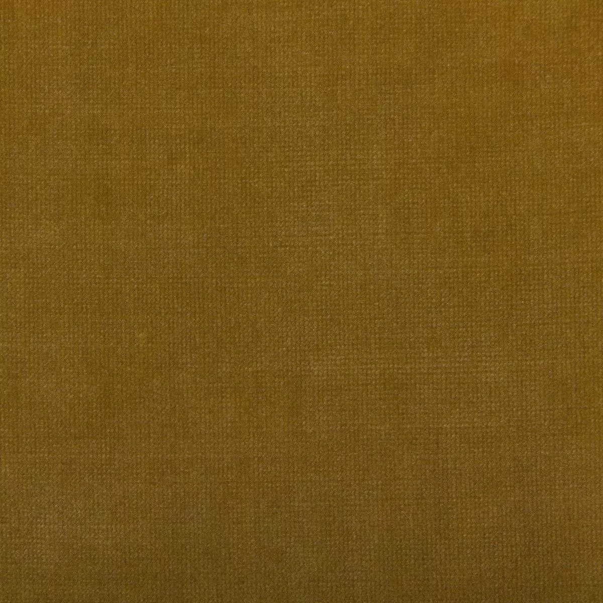 Chessford Gold Fabric