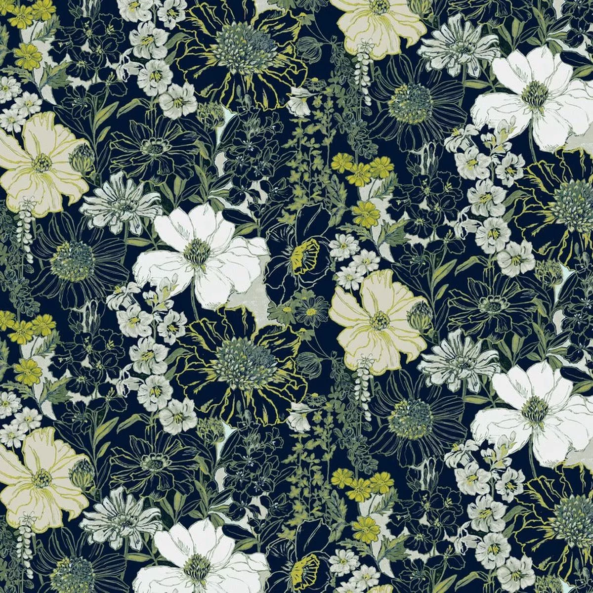 Clio – Midnight | Order A Sample