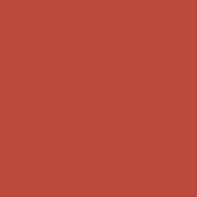 Confetti Cotton Solid – Burnt Orange