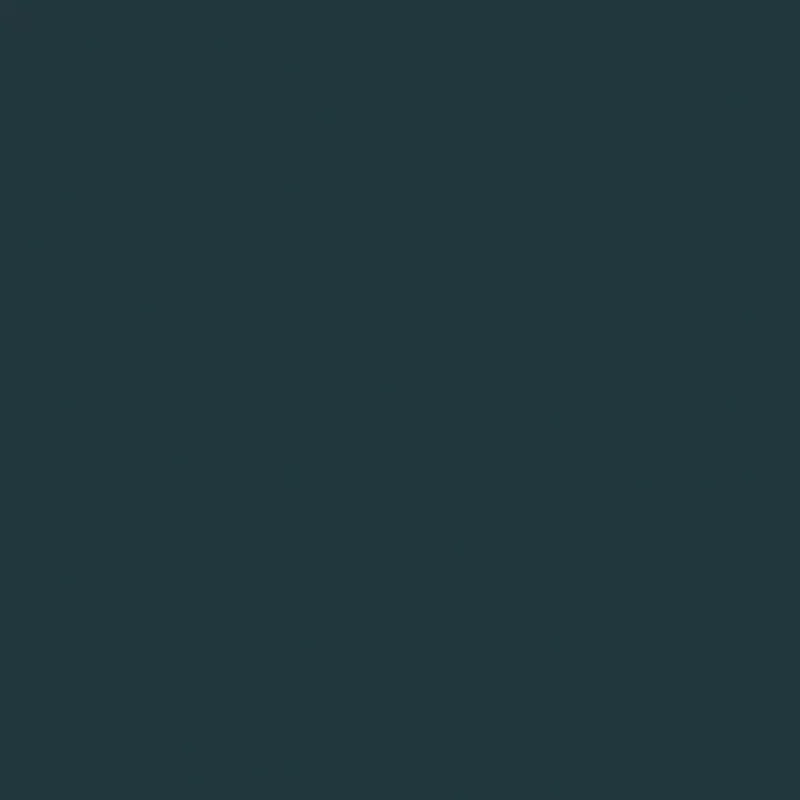 Confetti Cotton Solid – Carbon