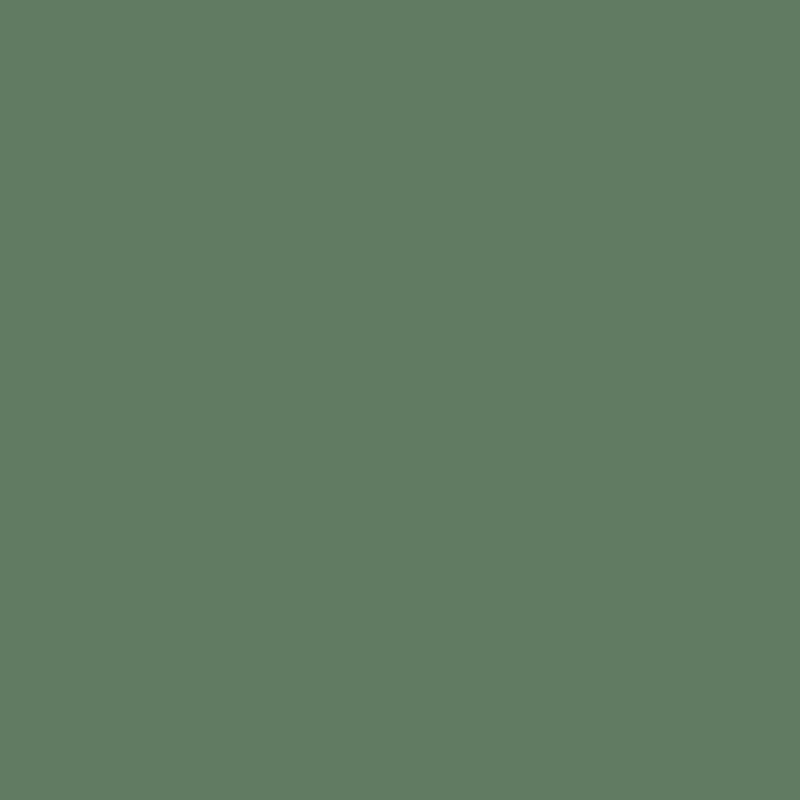 Confetti Cotton Solid – Chive