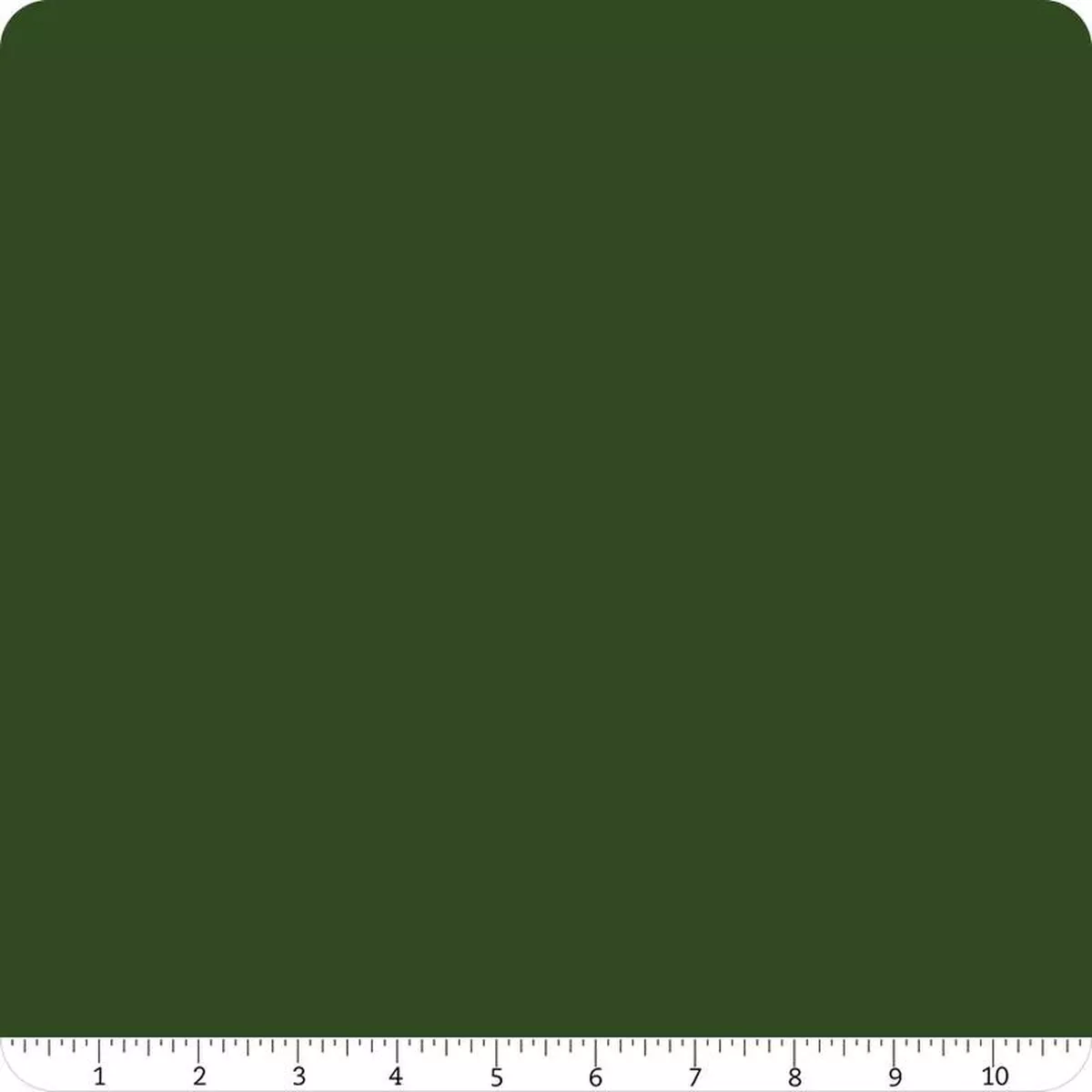 Confetti Cotton Solid Forest Riley Blake Designs Cotton Fabric RB-C120-FOREST