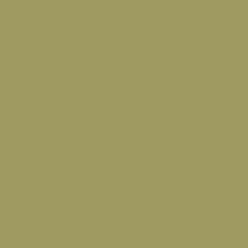 Confetti Cotton Solid – Olive