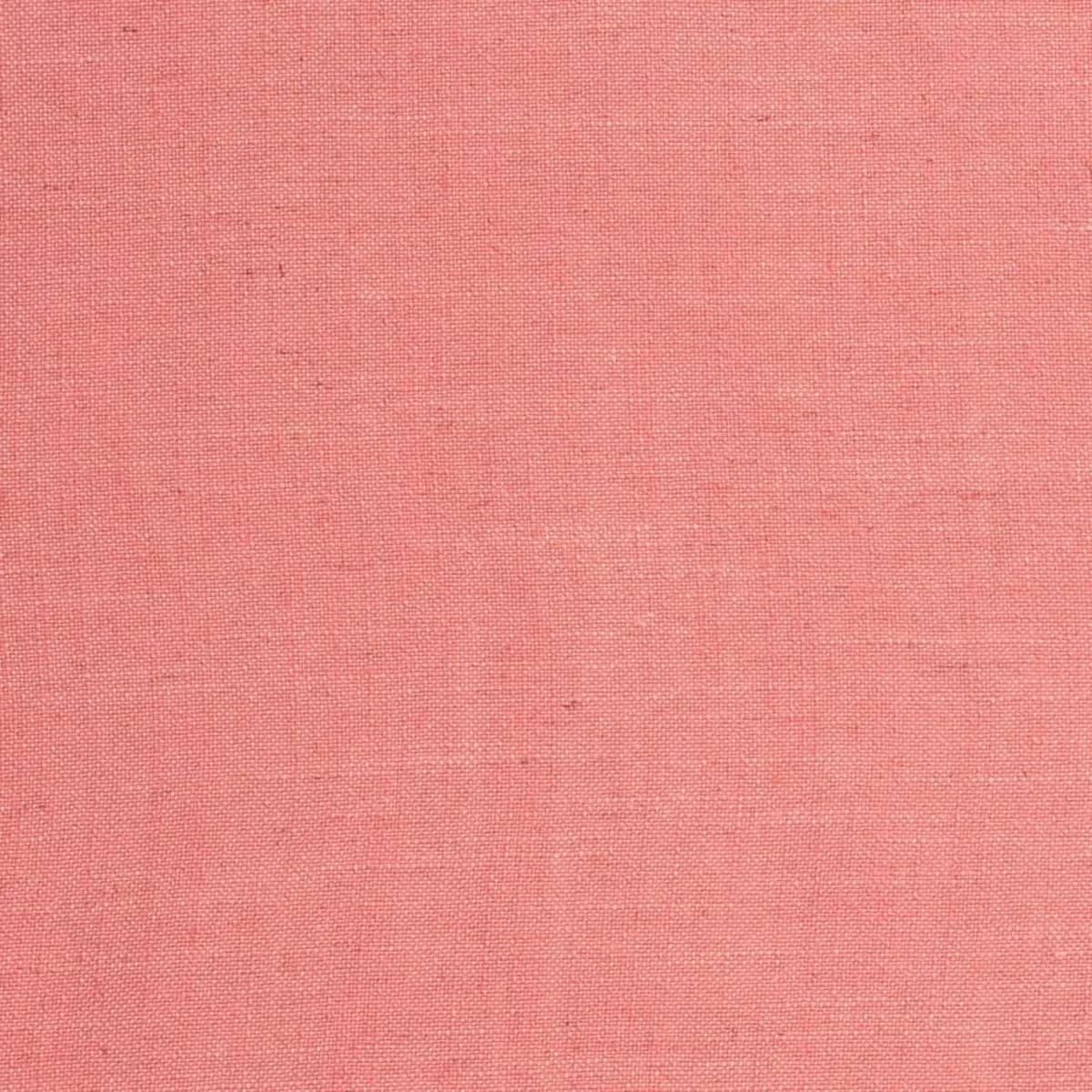 D3977 Sorbet