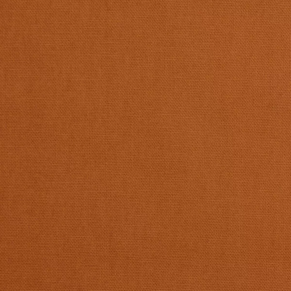 Daffy-Gold