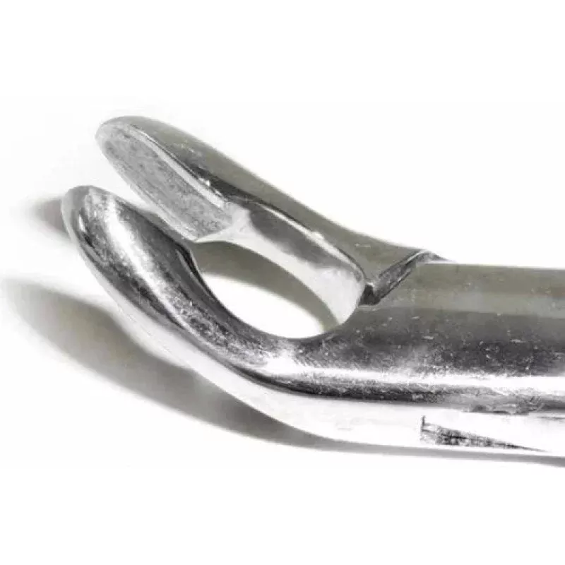 Dental Forcep #151