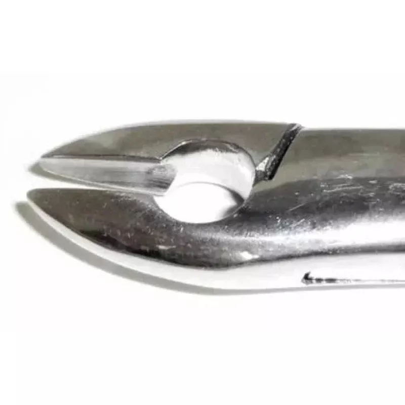 Dental Forcep #99A