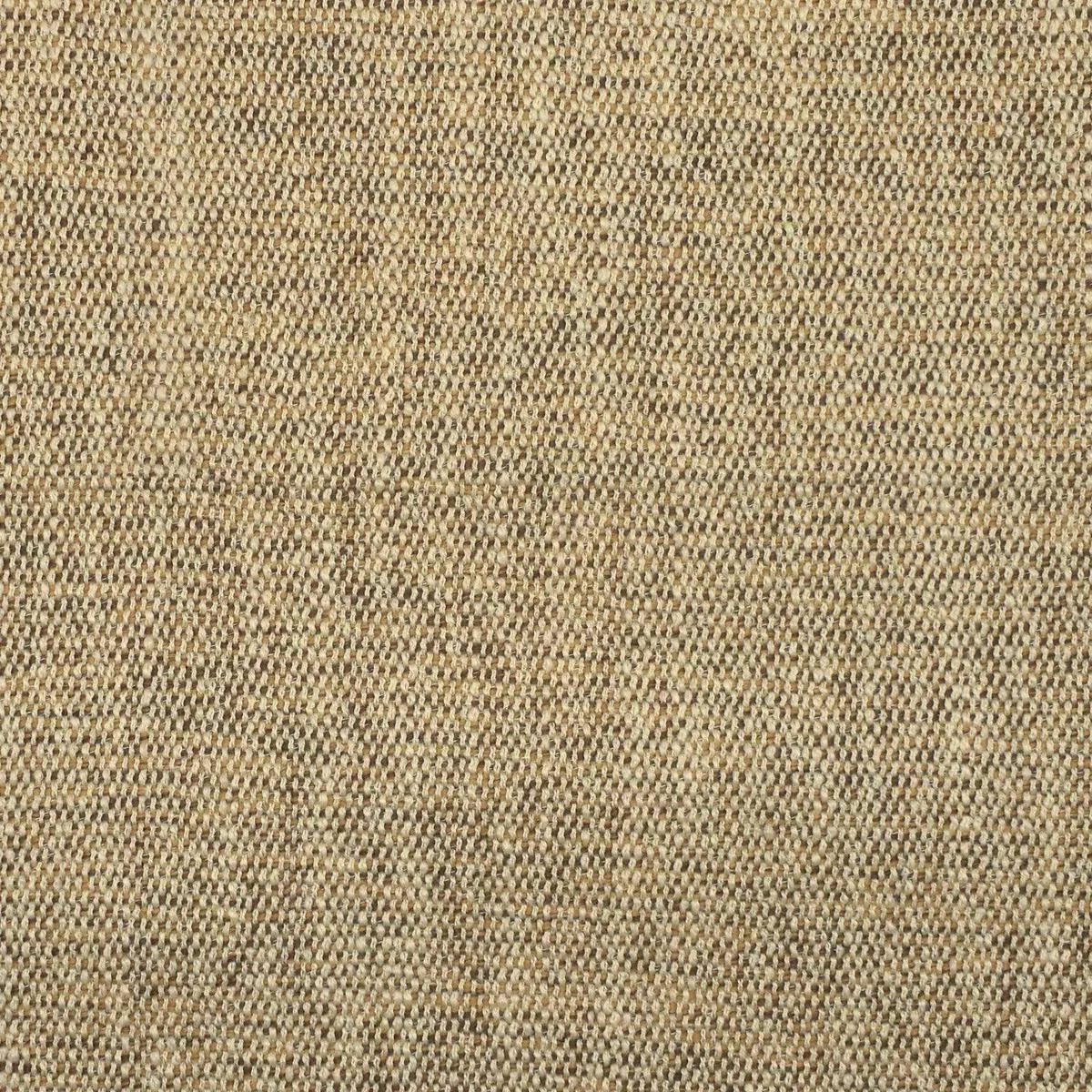 F2167