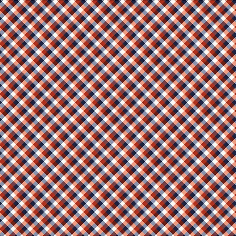 ” Front Porch” Red Picnic Ginghamby Allison Harris for Windham Fabrics