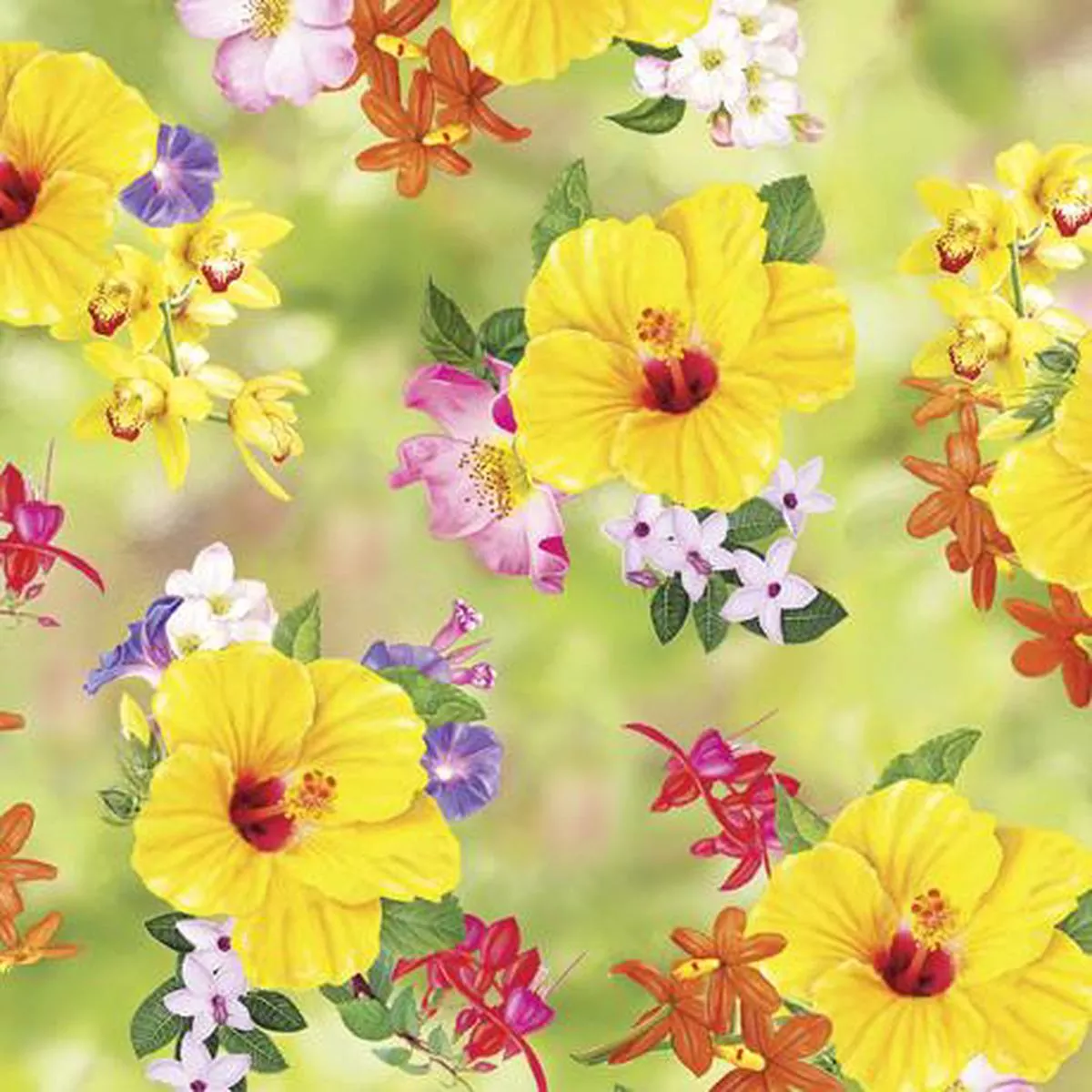 HUMMINGBIRD GARDEN