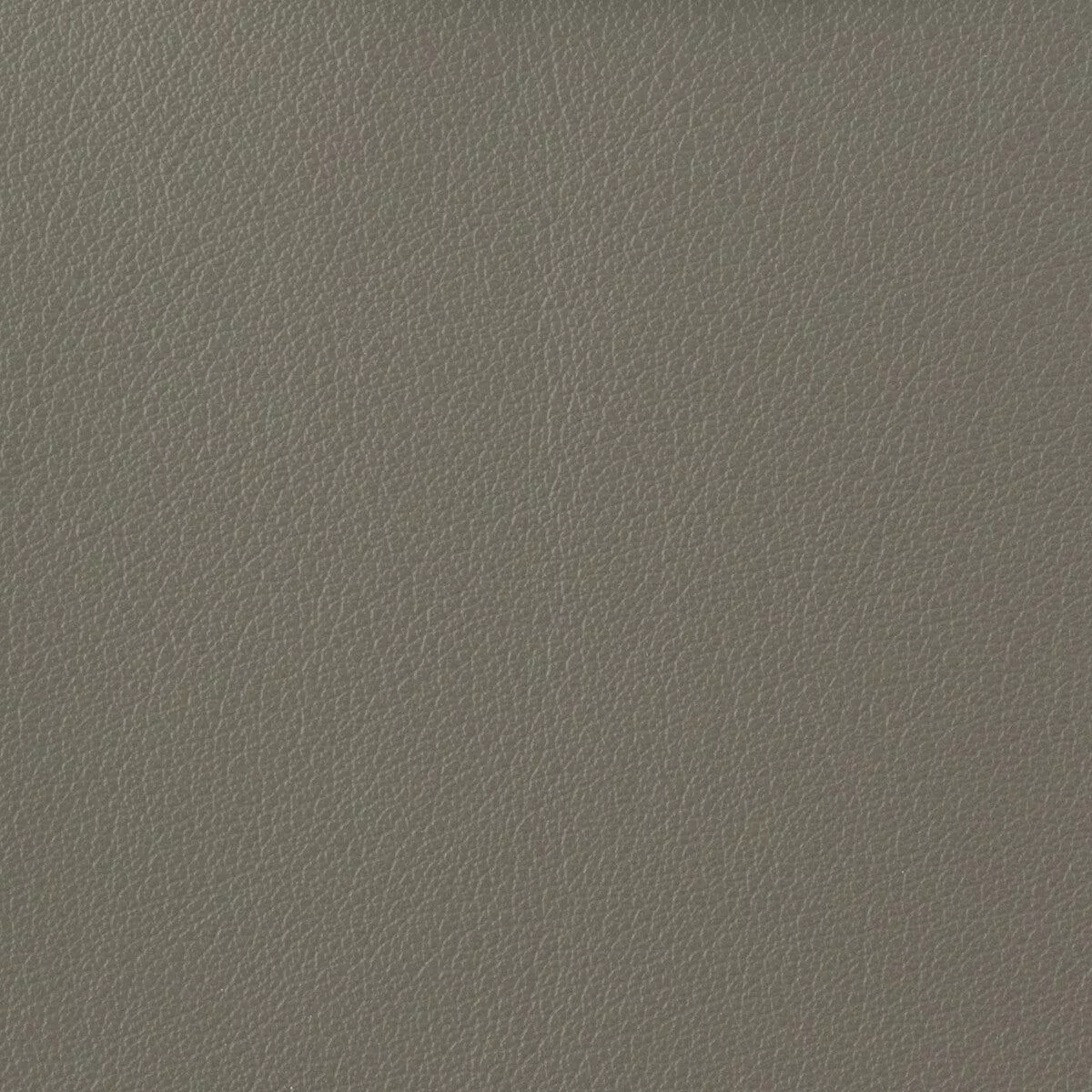 KRAVET BASICS – KRAVET BASICS- OTTO-11 – Fabric by the Yard – OTTO-11