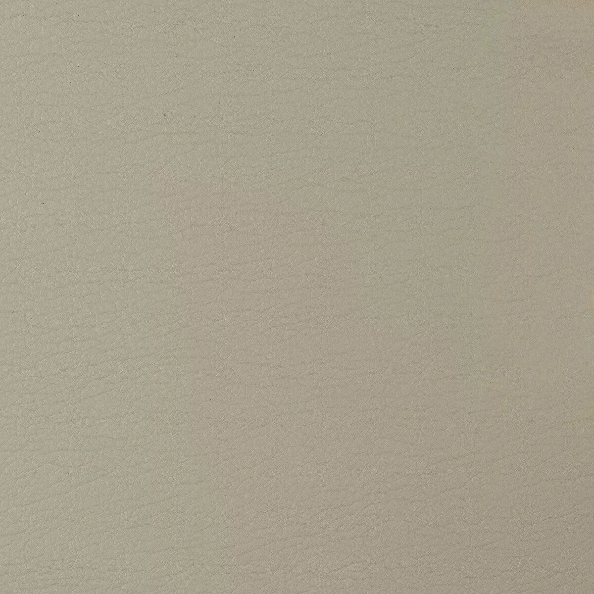 Kravet Design Gato-106 Fabric
