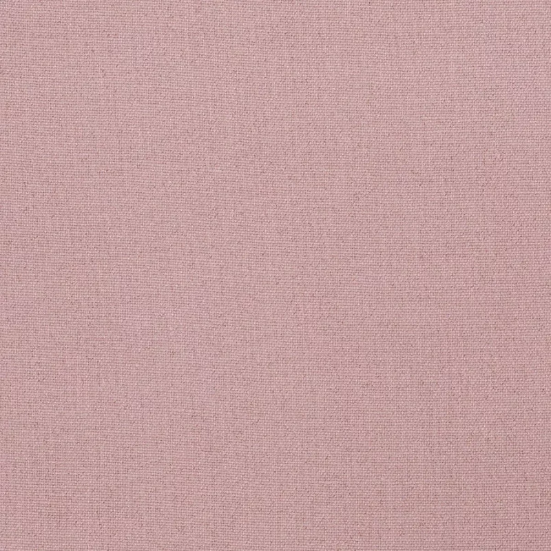 Livarot in Cherry Blossom