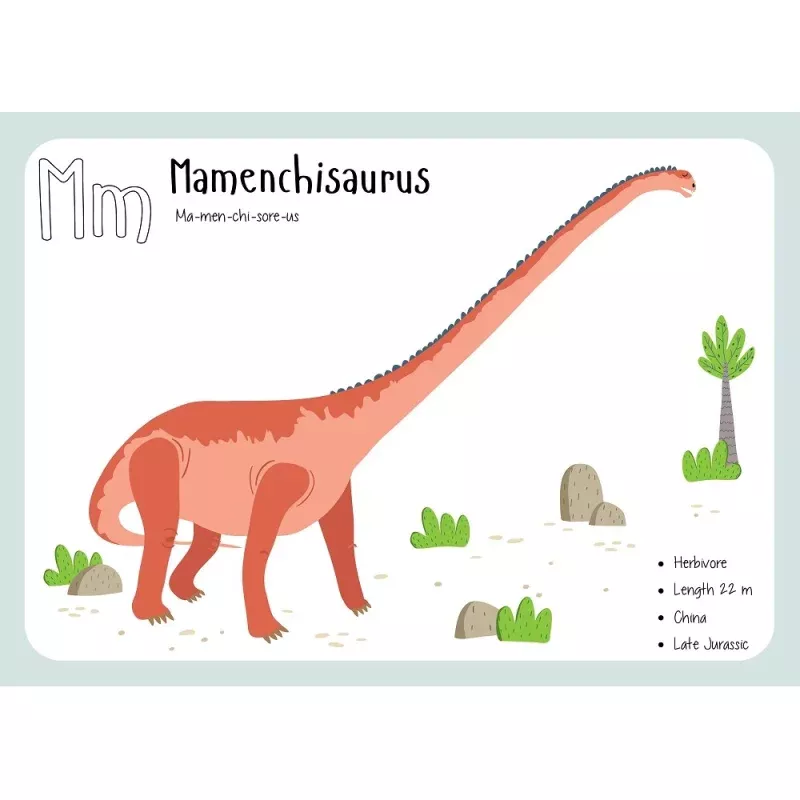 Mamenchisaurus Flash Card Fabric Panel