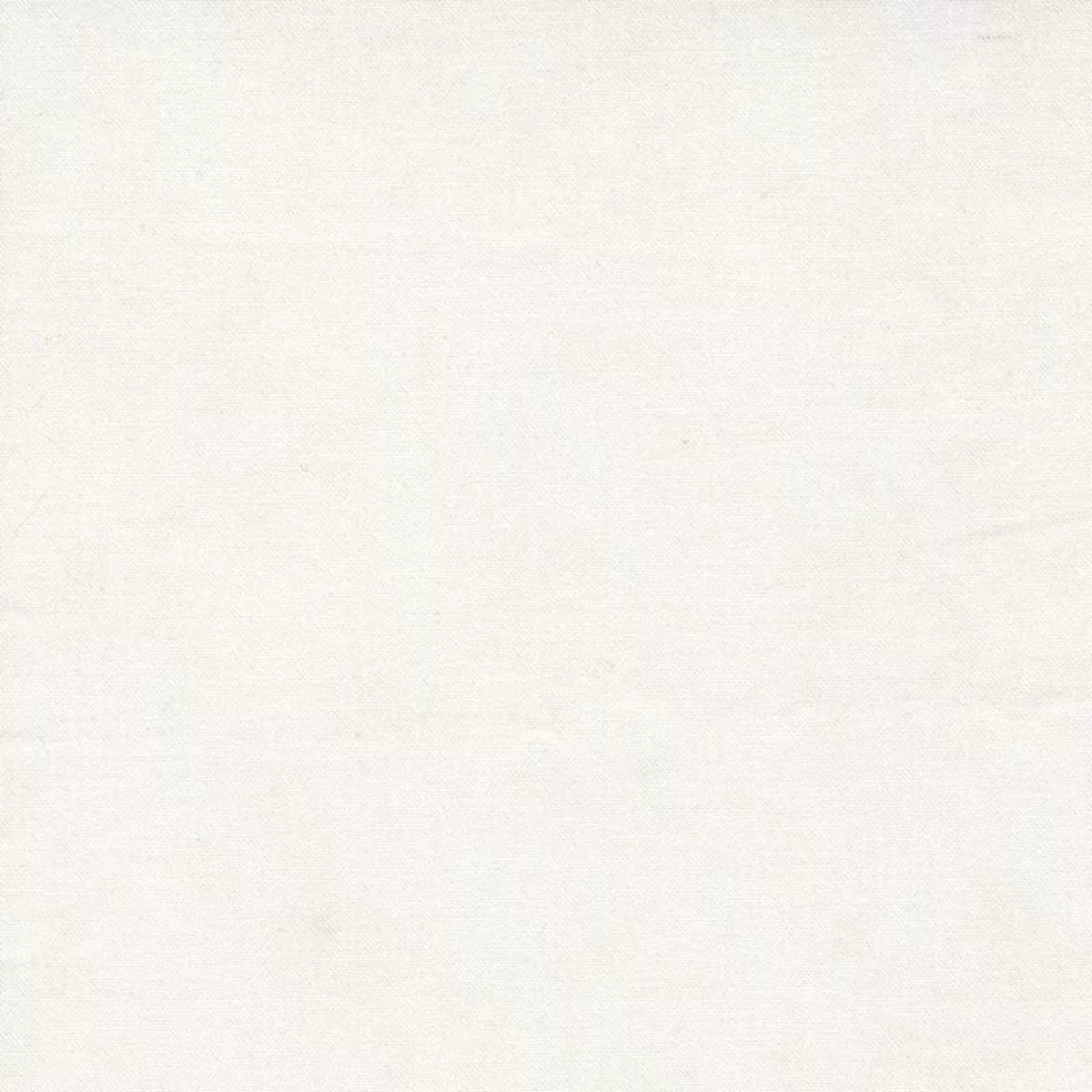 Moda Winter Flurries Fabric