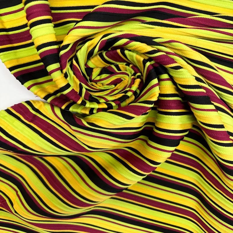 Multicolour Ribbed Polyamid Elastane Knitted