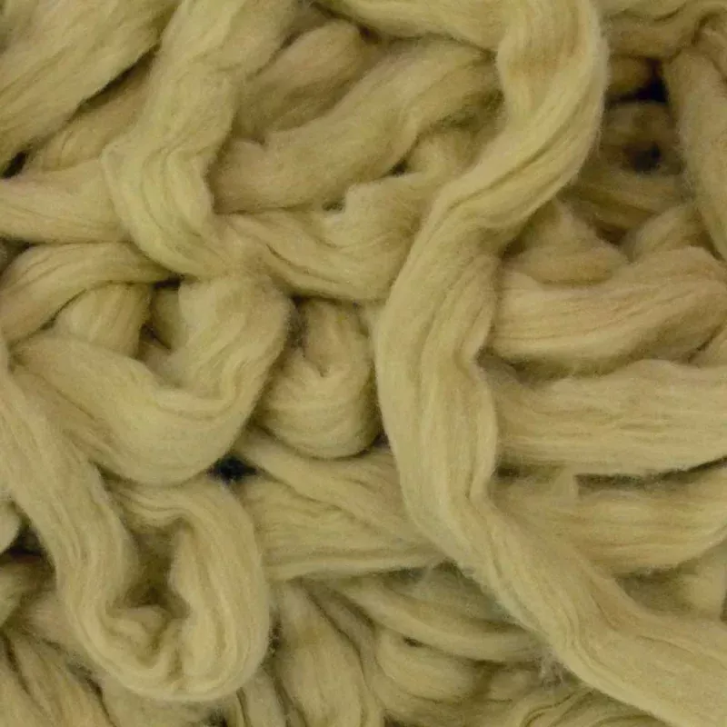Natural Green Cotton Sliver