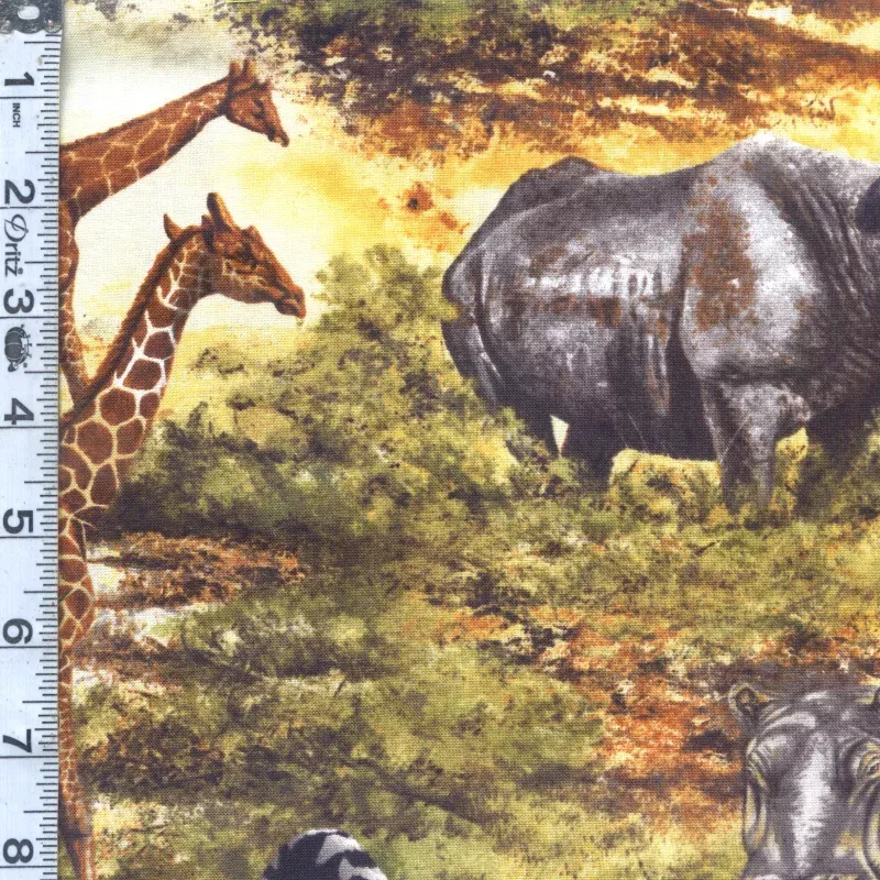 Nature Studies 2 – Safari Animals
