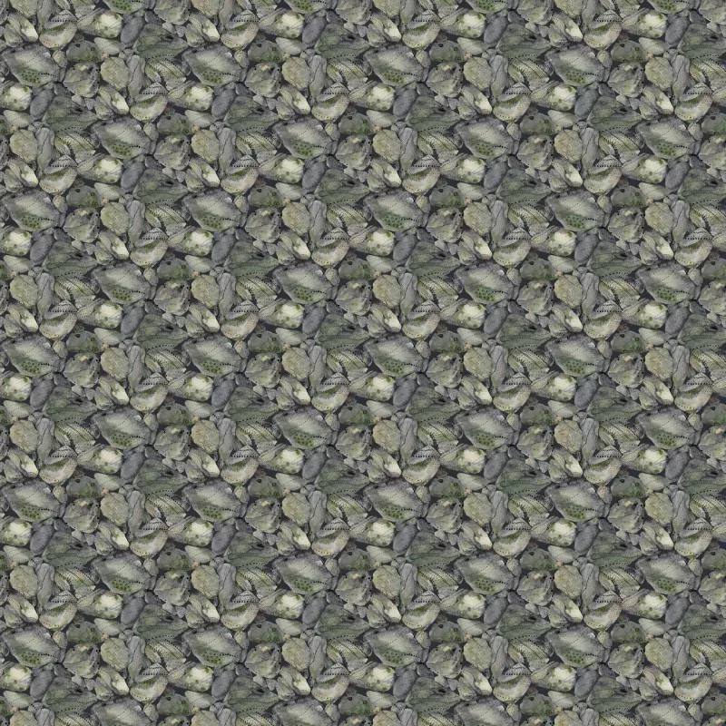 Nature Trail – Rocks Gray