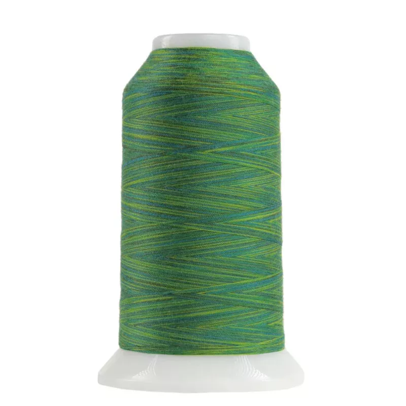 Omni Variegated Polyester Thread 40wt 2000yd Rolling Hills