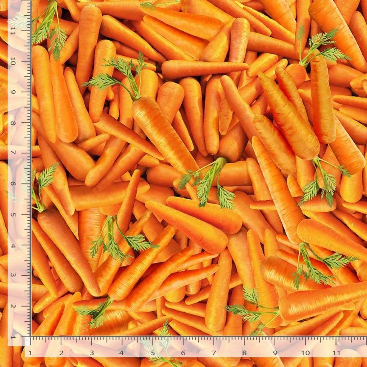 Packed Carrots Orange by TT Studio