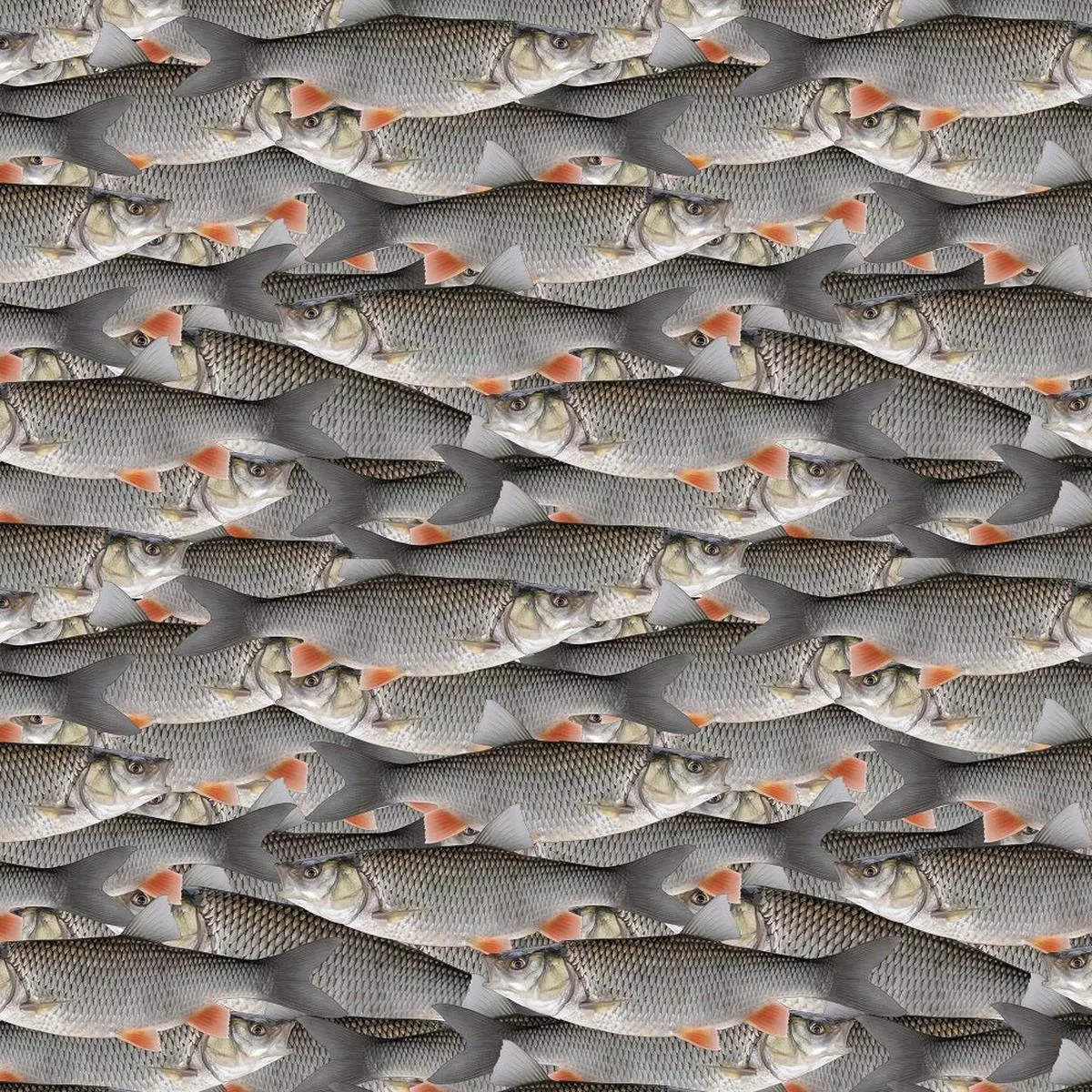 Packed Realistic Fish Fabric