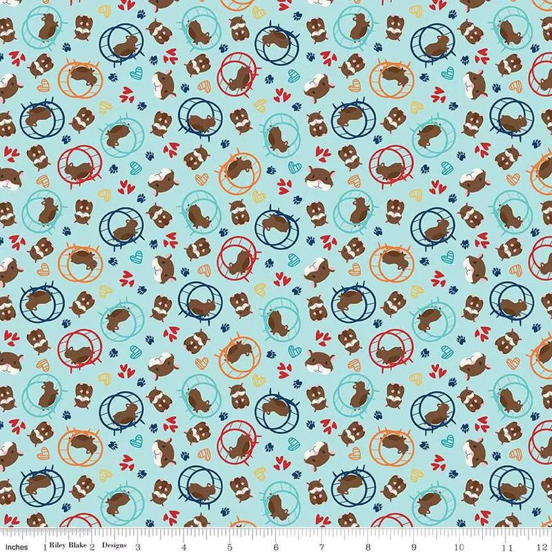 Pets Hamster Aqua