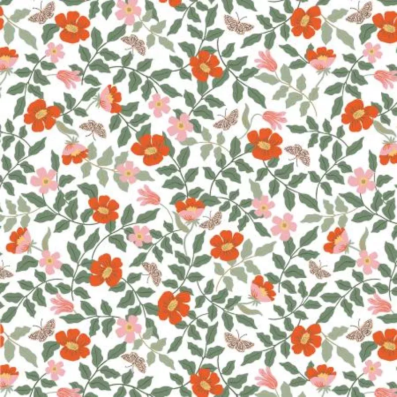 Primrose in Ivory