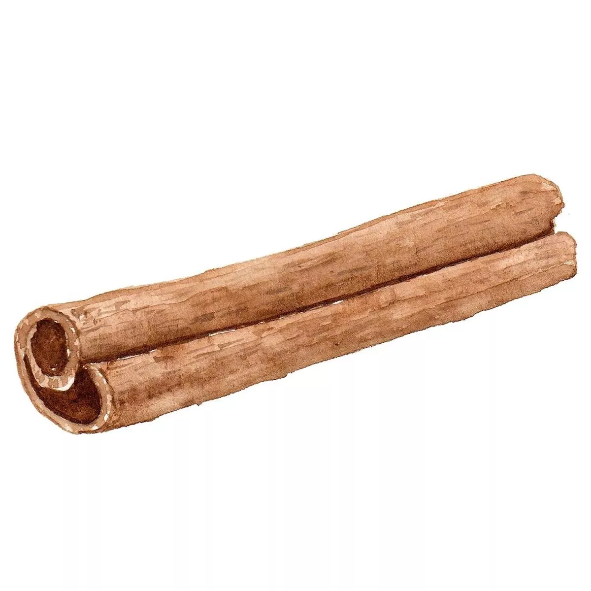 Pumpkin Spice Latte Cinnamon Stick 2 Fabric Panel