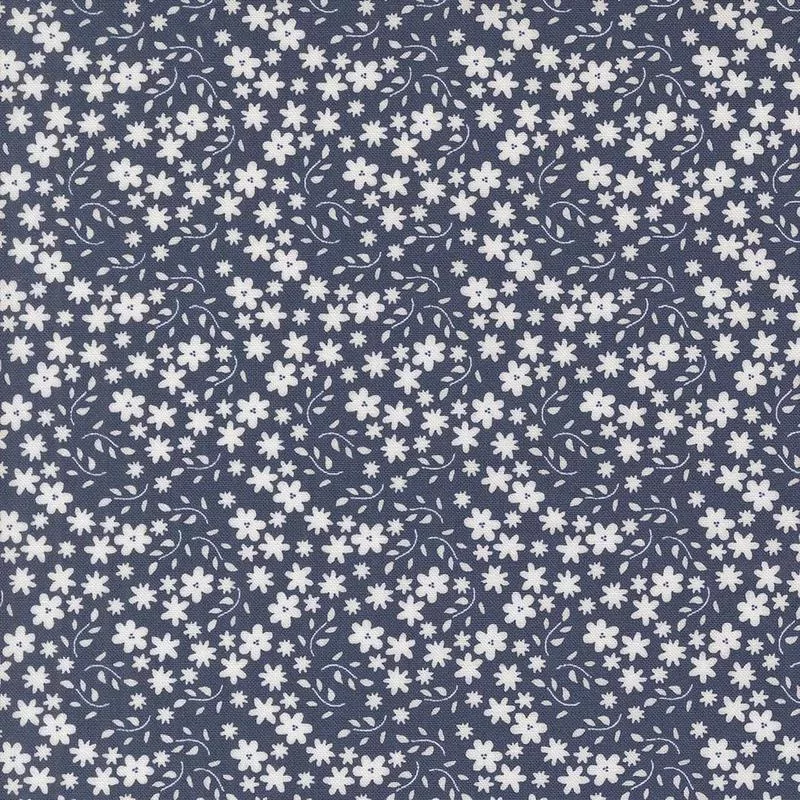 Raspberry Summer – Blossom Blueberry