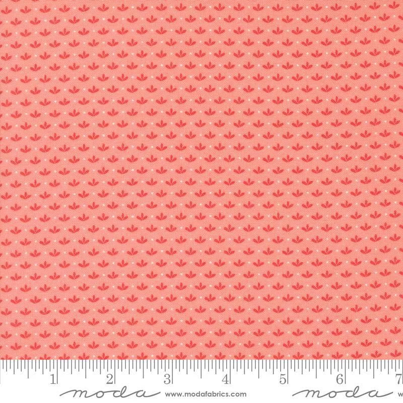 Raspberry Summer Carnation 37694-12