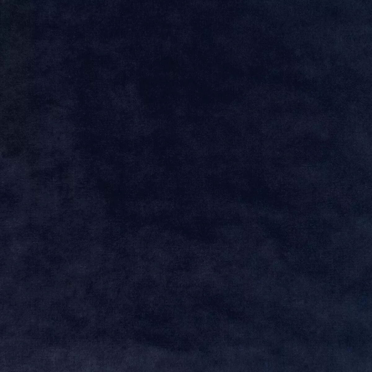 Regal Velvet Navy Fabric
