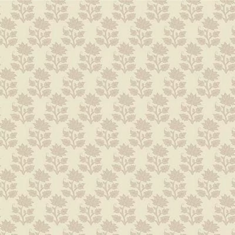 Sanctuary Mira – Cream