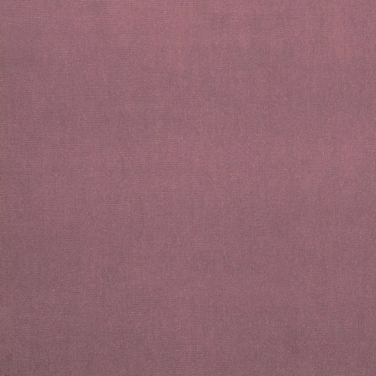 SCHUMACHER PERFECT BASICS: VELVET GAINSBOROUGH VELVET VELVETS,HIGH PERFORMANCE VELVETS,HIGH PERFORMANCE NEPTUNE – 43255