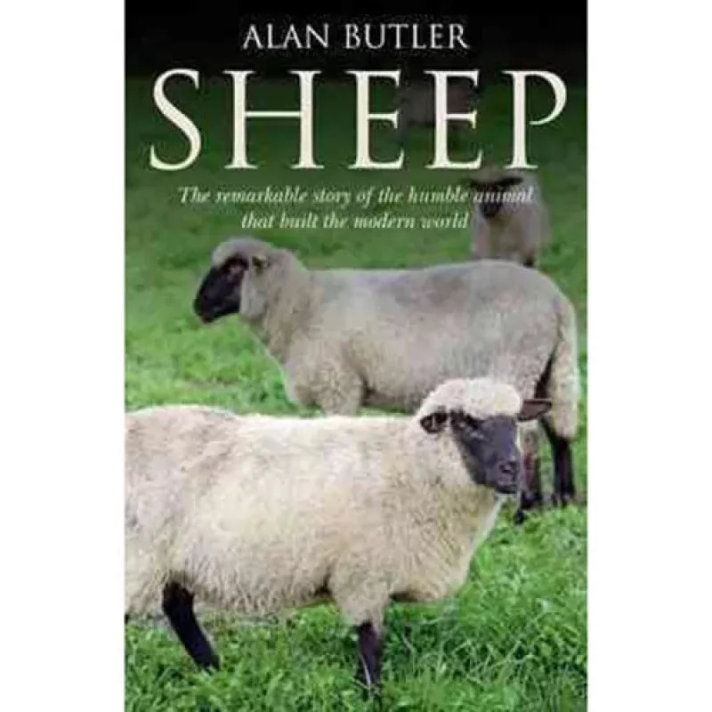 Sheep