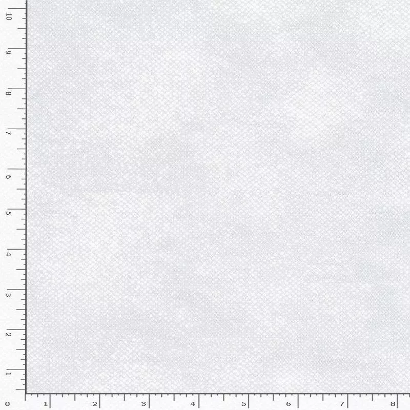 Silver Surface Screen Texture Light Gray Timeless Treasures Cotton Fabric 1